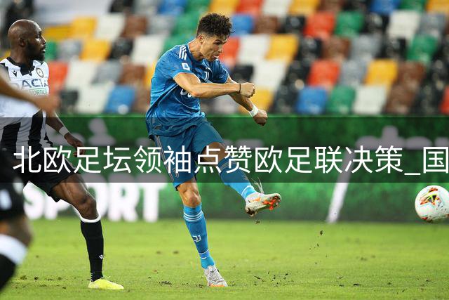 北欧足坛领袖点赞欧足联决策 国际足球治理亟待深层改革