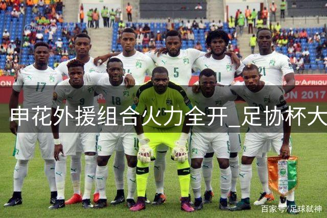 申花外援组合火力全开 足协杯大胜展现争冠潜力